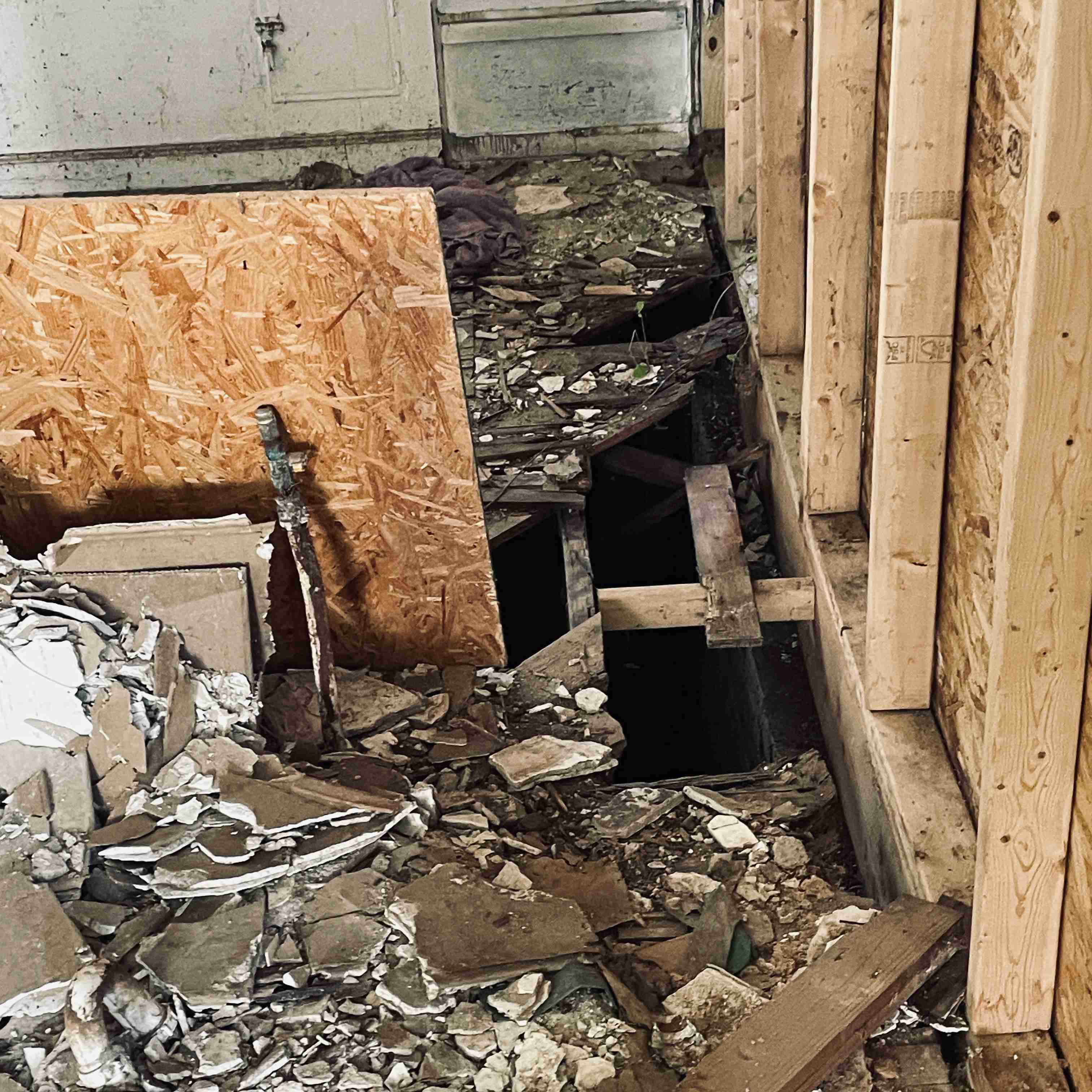 16744 Beaverland (28).jpg